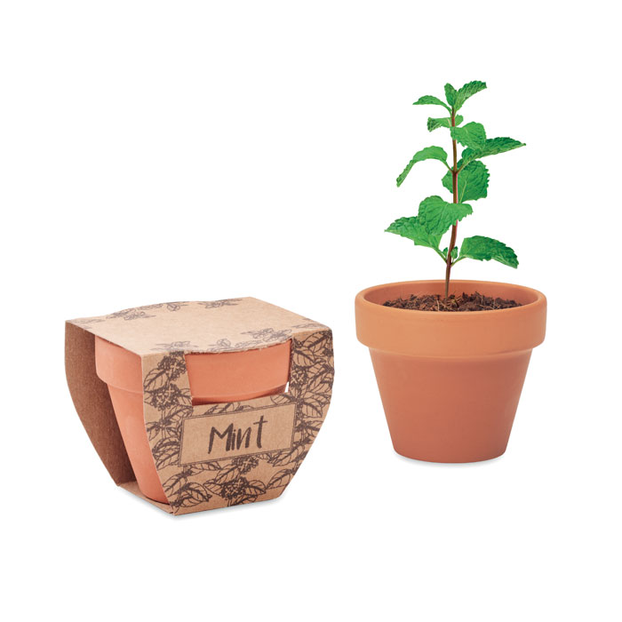 mo2218-40.jpg MINT POT – Obrázok 1
